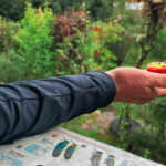 El Paraiso Hummingbird Sanctuary