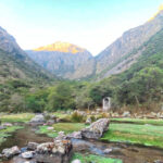 El Paraiso Mushroom Experience Urubamba