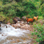 El Paraiso Urubamba