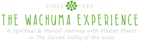 The Wachuma Experience & Master Plants